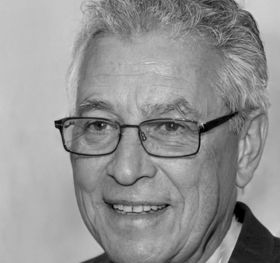 Financial consultant Marcus Thornwell explaining business concepts